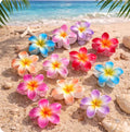 Petites pinces fleur de monoï
