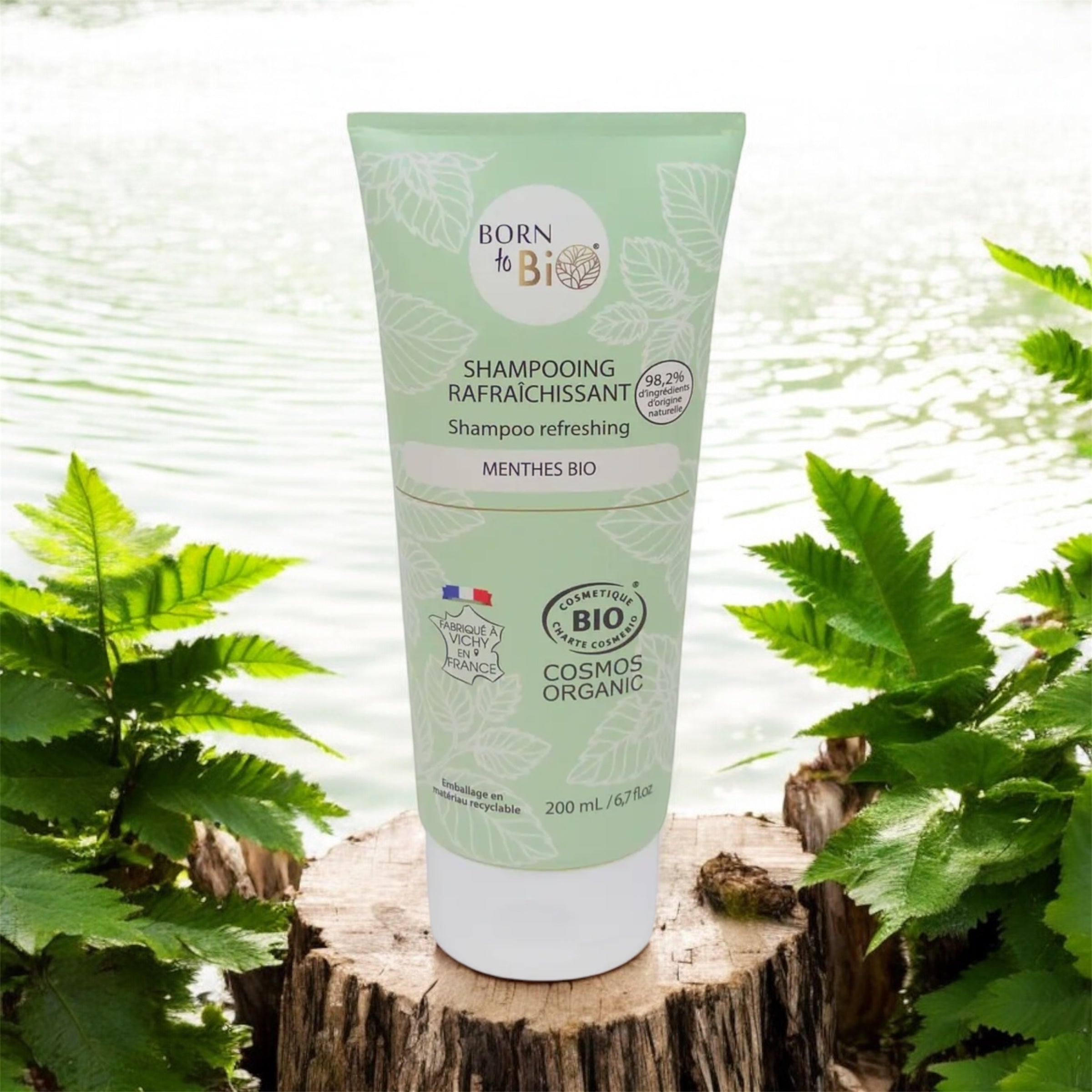 Shampoing Menthe fraîche pour les cheveux gras et antipelliculaire  image 0